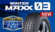 WINTER MAXX03